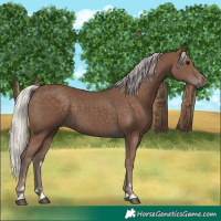 Horse Color:Silver Black 