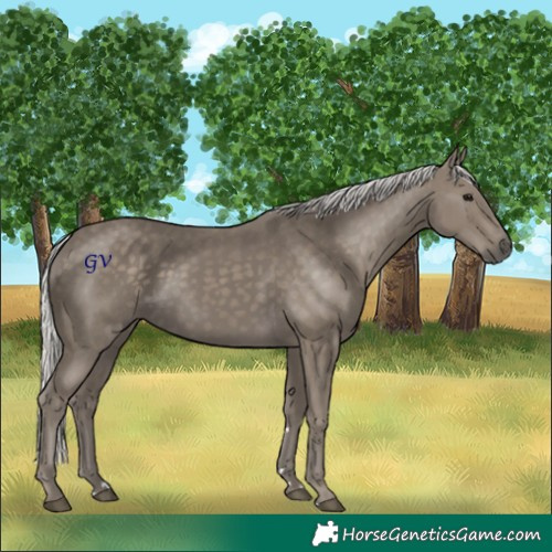 Horse Color:Silver Smoky Black 