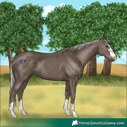 Horse Color:Silver Black 