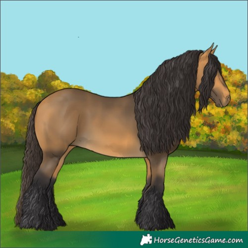 Horse Color:Buckskin Rabicano 