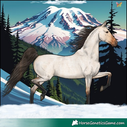 Horse Color:Bay Roan Dun