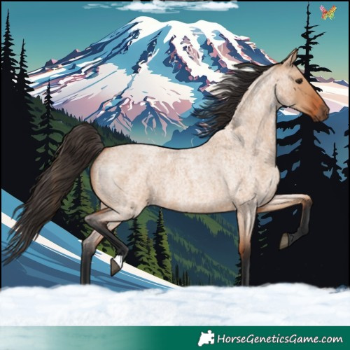 Horse Color:Bay Roan Dun