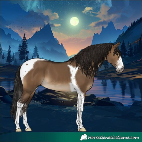 Horse Color:Gray Brown Dun Sabino Tobiano