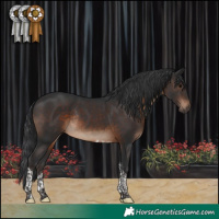 Horse Color:Brown Tobiano Rabicano