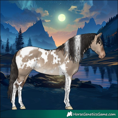 Horse Color:White Spotted Brown Dun Tobiano Appaloosa 