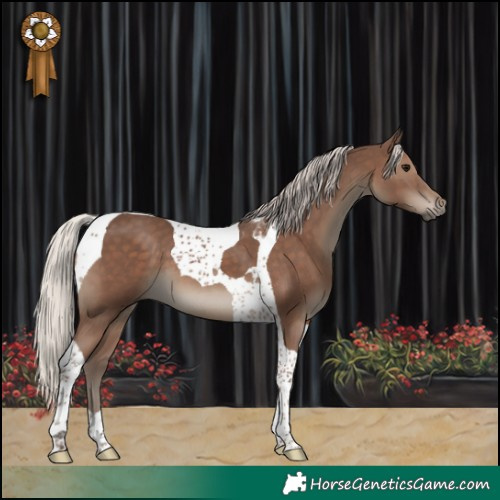 Horse Color:Silver Black Tobiano 