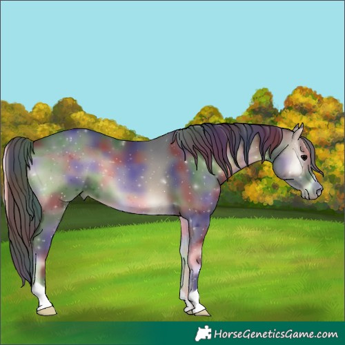 Horse Color:Nacre Blue Onyx 