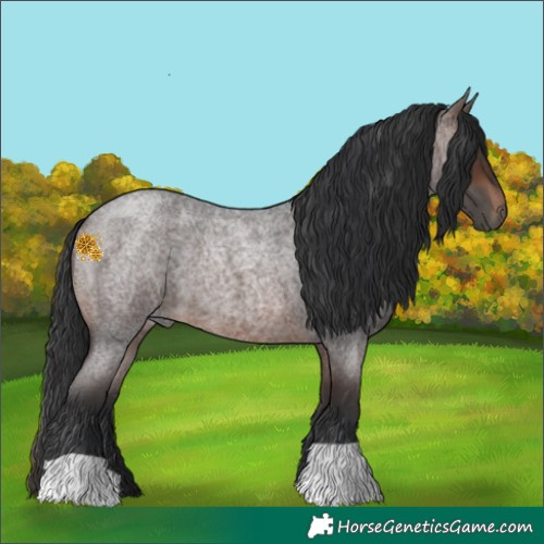 Horse Color:Brown Roan