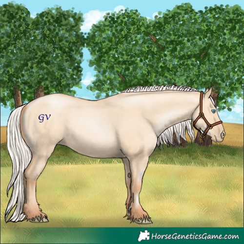 Horse Color:Silver Amber Champagne Pearl Dun 