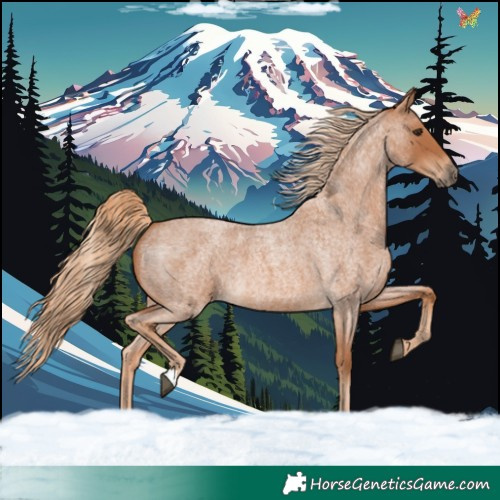 Horse Color:Red Roan 
