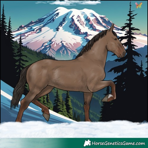 Horse Color:Liver Red Dun Rabicano