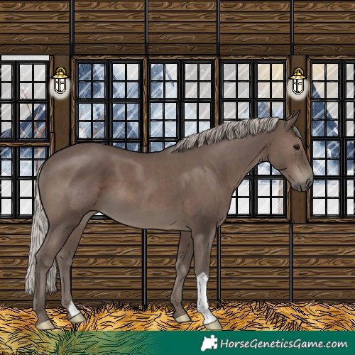 Horse Color:Silver Black 