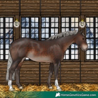 Horse Color:Silver Brown