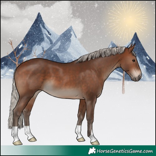 Horse Color:Silver Brown 