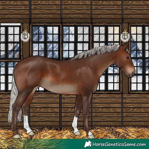 Horse Color:Silver Brown