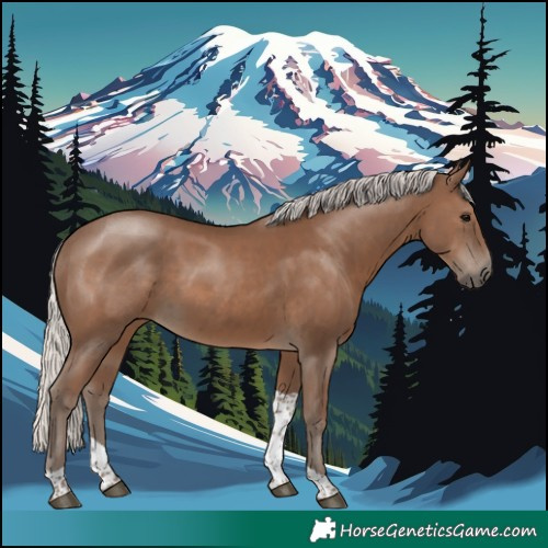 Horse Color:Silver Black Tobiano