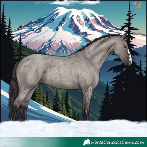 Horse Color:Smoky Grullo Roan 
