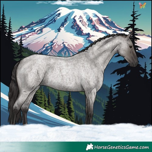 Horse Color:Smoky Grullo Roan