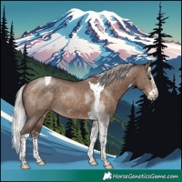 Horse Color:Silver Brown Dun Sabino Splash Tobiano Rabicano 
