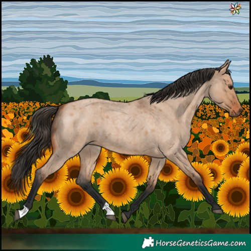 Horse Color:Bay Roan Dun 
