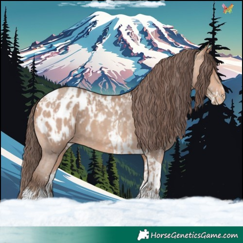 Horse Color:Amber Champagne Sabino Tobiano Appaloosa  and Amber Champagne Sabino Tobiano Appaloosa 