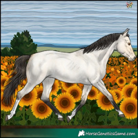Horse Color:Buckskin Roan Dun Tobiano