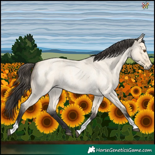 Horse Color:Buckskin Roan Dun Tobiano 