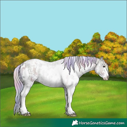 Horse Color:Nacre White Spotted Silver Brown Ice Sabino Rabicano