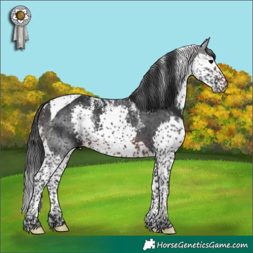 Horse Color:Powder White Brown Splash Tobiano