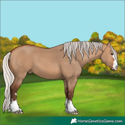Horse Color:Unknown 