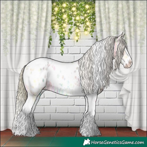 Horse Color:Watercolor White Spotted Silver Grullo Ice Splash Tobiano Blanket 