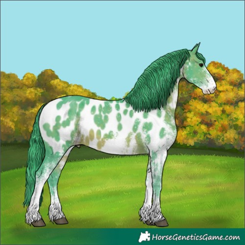 Horse Color:Watercolor White Spotted Brown Appaloosa 