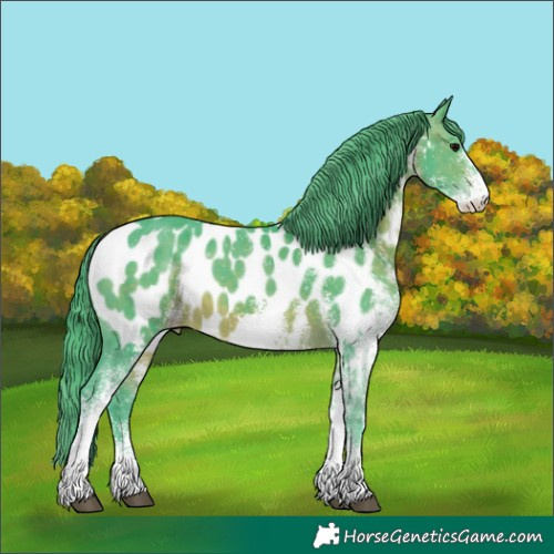 Horse Color:Watercolor White Spotted Brown Appaloosa 