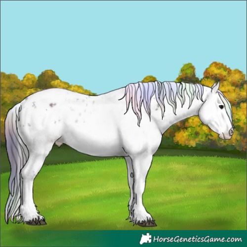 Horse Color:Nacre White Spotted Black Leopard 