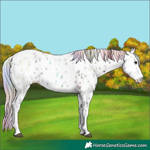 Horse Color:Nacre White Spotted Silver Black Ice Tobiano Leopard