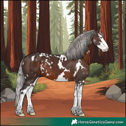 Horse Color:White Spotted Silver Brown Sabino Splash 