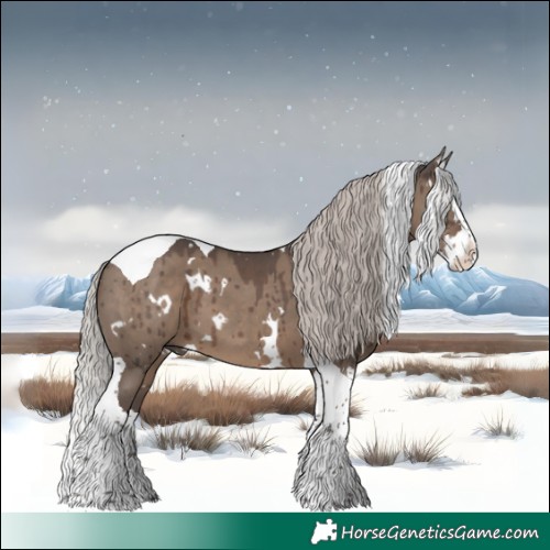 Horse Color:White Spotted Silver Grullo Splash Tobiano Brindle