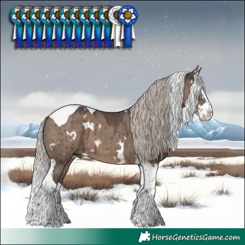 Horse Color:White Spotted Silver Grullo Splash Tobiano Brindle 
