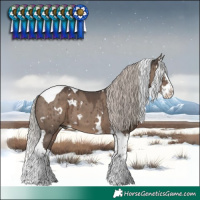 Horse Color:White Spotted Silver Grullo Splash Tobiano Brindle
