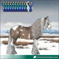 Horse Color:White Spotted Silver Grullo Splash Tobiano Brindle