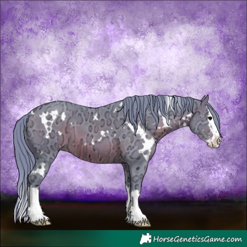 Horse Color:Watercolor White Spotted Brown Ice Sabino Splash