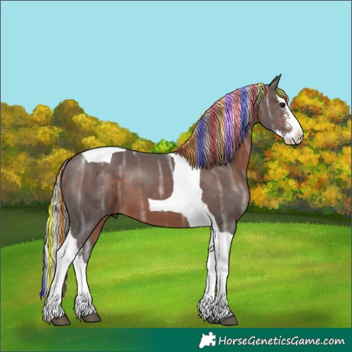 Horse Color:Painted Silver Brown Ice Sabino Splash Tobiano