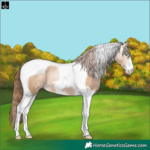 Horse Color:Brown Pearl Dun Sabino Tobiano Rabicano 