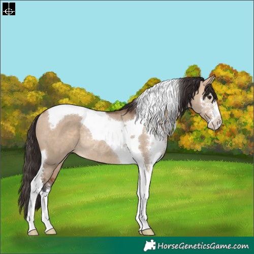 Horse Color:Bay Dun Sabino Tobiano Rabicano 