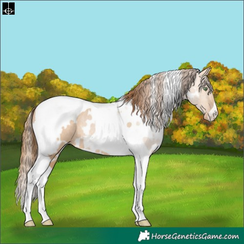 Horse Color:White Spotted Brown Pearl Dun Tobiano Rabicano 