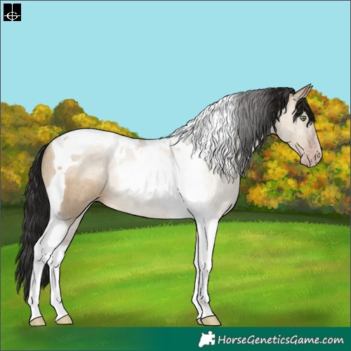 Horse Color:Gray Sable Champagne Dun Tobiano Rabicano 