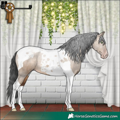 Horse Color:Gray Sable Champagne Dun Tobiano 