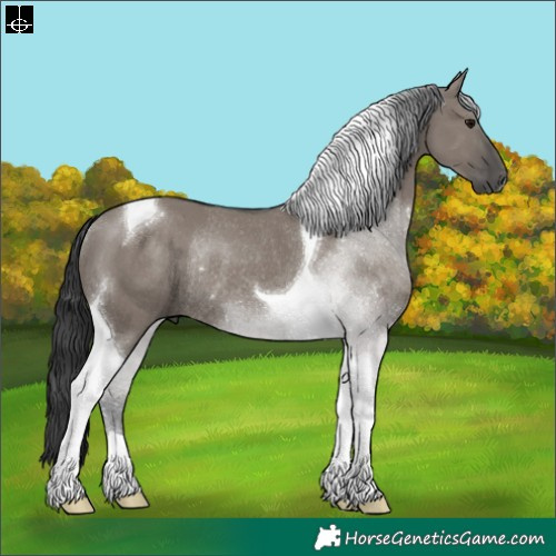 Horse Color:Grullo Tobiano Rabicano 