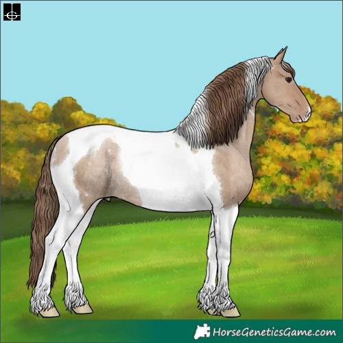 Horse Color:Grullo Pearl Tobiano Rabicano 