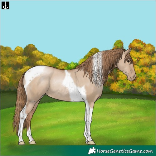 Horse Color:Grullo Pearl Tobiano Rabicano 